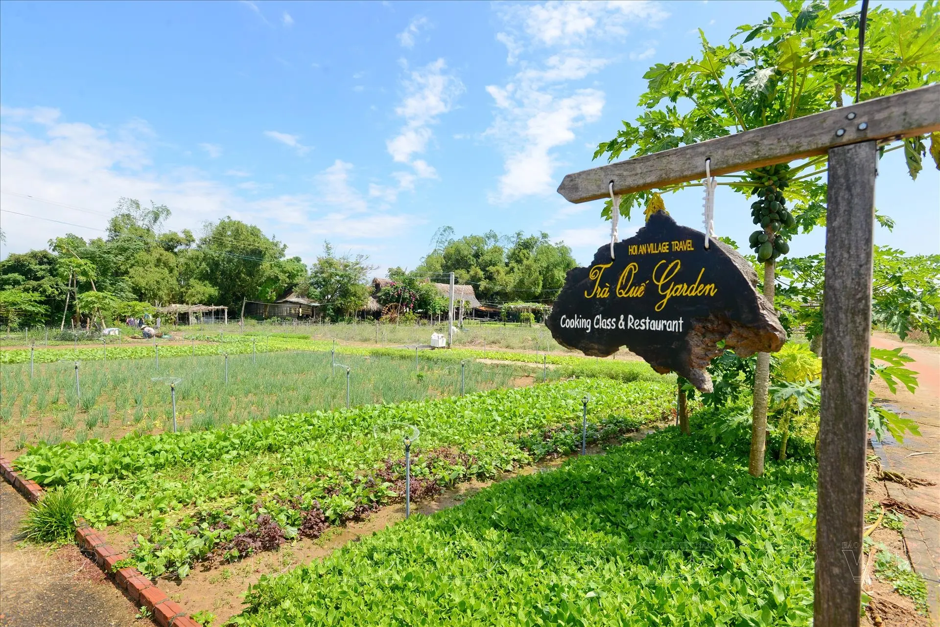 Weekend Trip to Hoi An